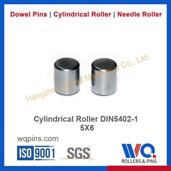Cylindrical Roller Din5402-1 Cylindrical Roller Din5402-1