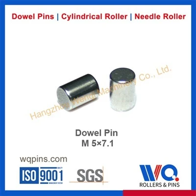 5 mm Cylindrical Pins