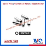 Ventilplate dysestifter